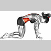 Workouts