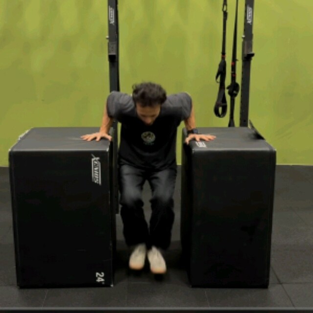 Dip Drops by Alex 🌊. Exercise Howto Skimble Workout Trainer
