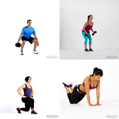 Lower Body