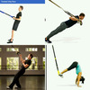 TRX