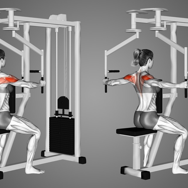 Rear Delt Flys による Tyler Myette - エクササイズのやり方