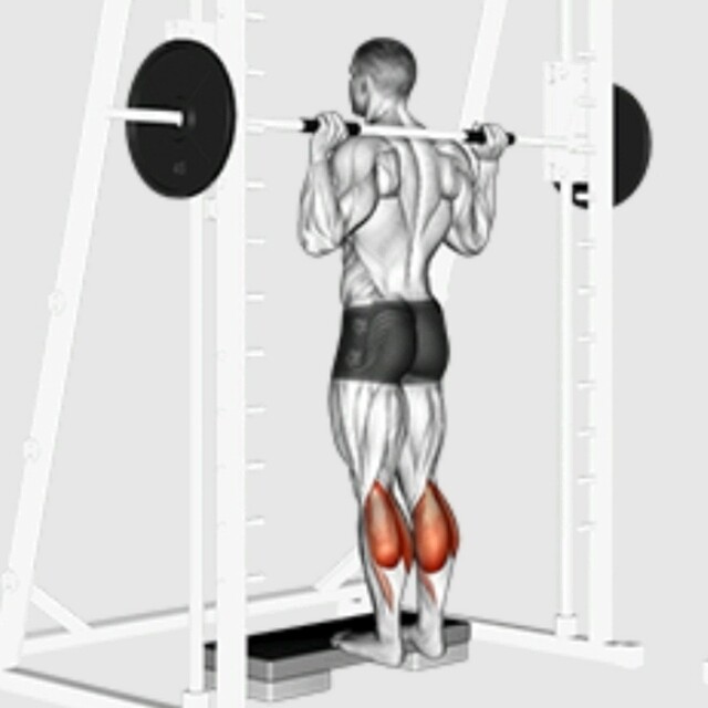 Standing Calf Raises (Smith Machine) por Kendall Moore - Como