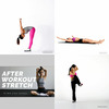 dynamic stretch