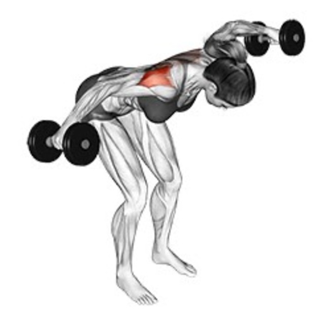 Reverse Fly in Bent-Over Position by May Ben Yehuda - Exercise How-to ...