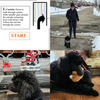 Dog training
