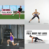 Lower body and legs