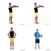 Arms