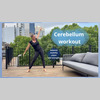 Balancing • Cerebellum focus