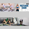 Posterior Chain