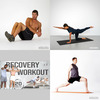 Recovery