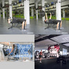 Full body gym workout