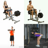 2026 - Gym Excercise Collection