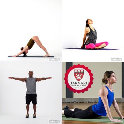 Stretch