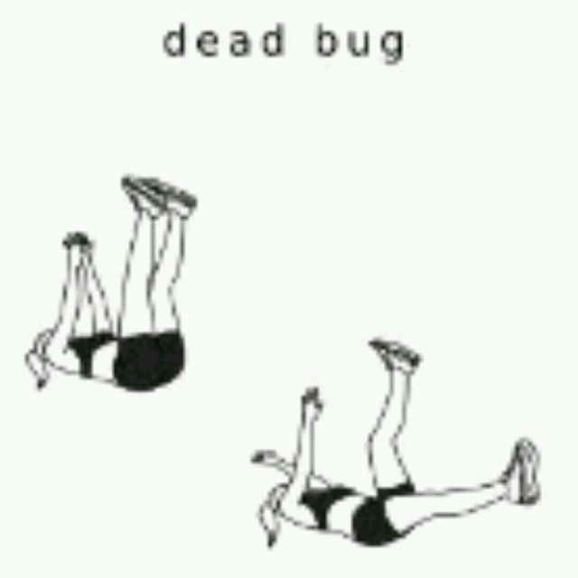 Dead Bug by Lolisente X Exercise Howto Skimble