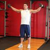 Lateral Raises (Dumbbell)