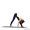 Flexibility