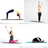Yogi Day