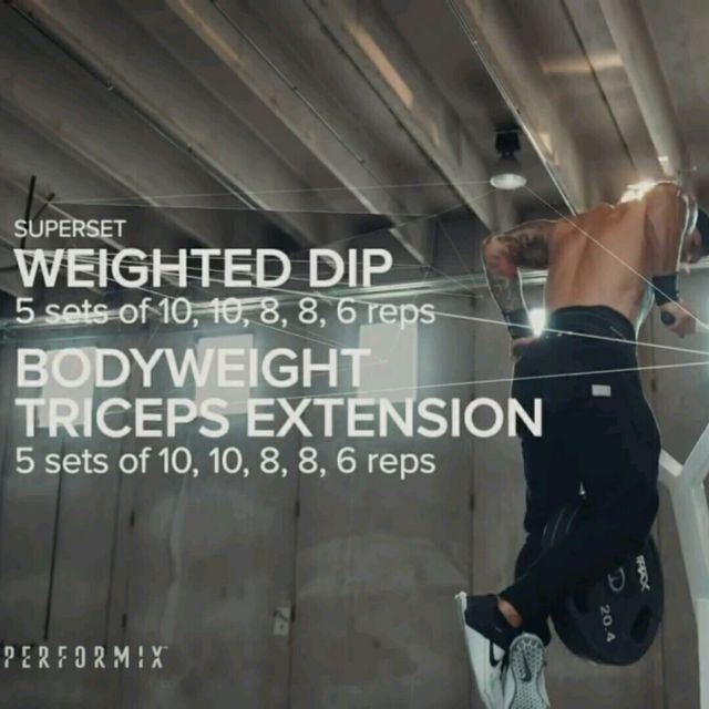 Weighted Dips Exercise Howto Workout Trainer by Skimble
