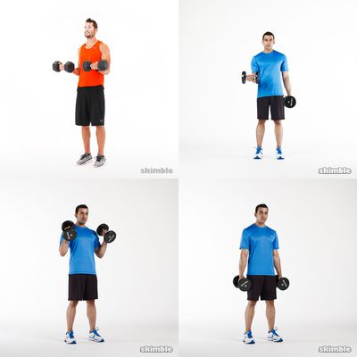 biceps