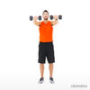 Shoulders