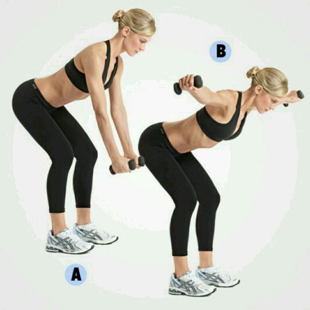 Reverse Dumbbell Fly Exercise Reverse Fly GTFJ Reverse Dumbbell Fly Exercise Reverse Fly GTFJ