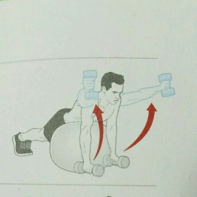 YTWLI Dumbbell Raises On A Swiss Ball (Y) by Allen D. - Exercise How-to ...
