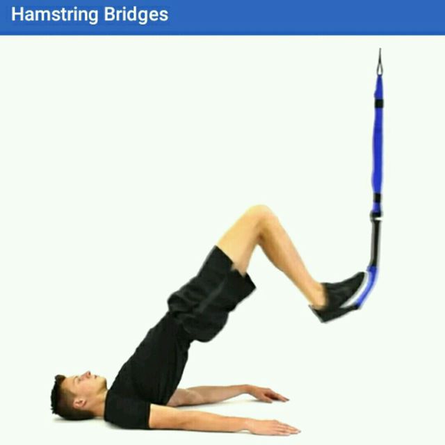 Hamstrings Bridges TRX Exercise Howto Skimble