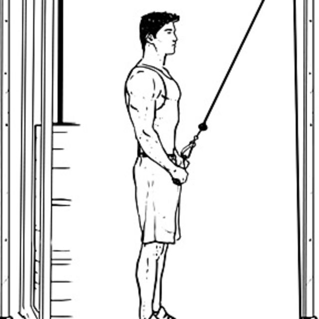 Rope Face Pull To Lateral Straight Arm Pulldown Exercise Howto Workout Trainer by Skimble
