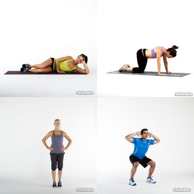 Lower Body
