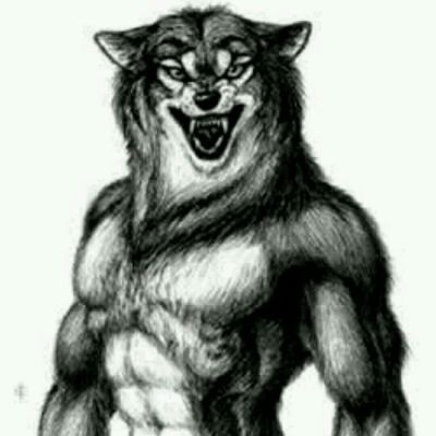 Werewolf Workout Chest Back Hes Trainer Workout By Uncle Heiko S Workout Trainer By Skimble