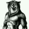 Workouts