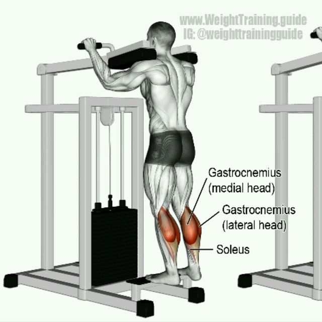 Standing Calf Raises Exercise Howto Workout Trainer by Skimble