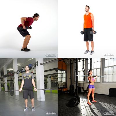 Arms