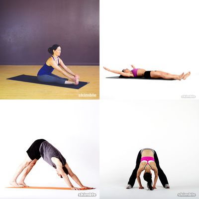 flexibility
