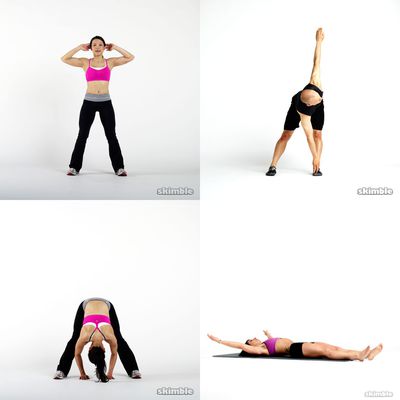 beginner