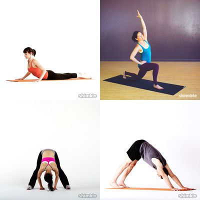 flexibility