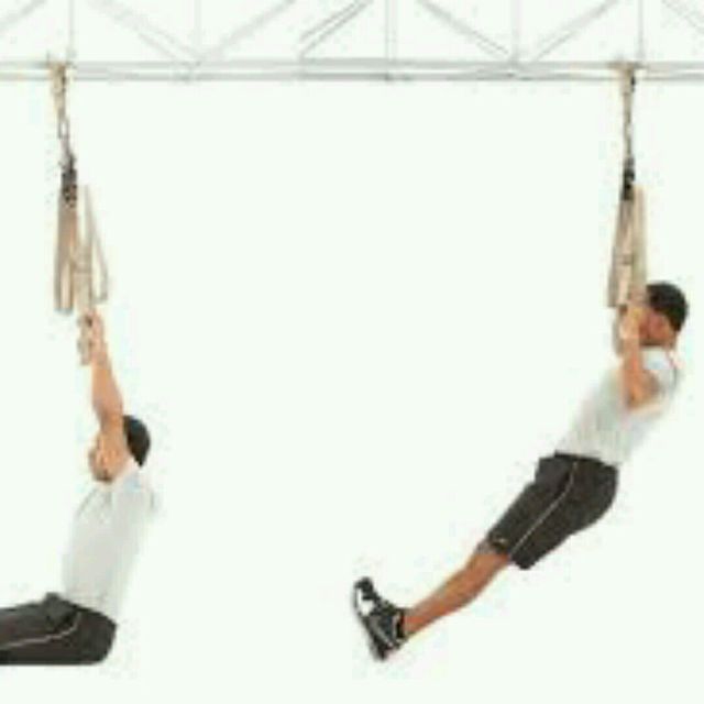 TRX Pullup Exercise Howto Workout Trainer by Skimble