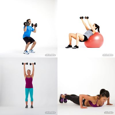 Upper Body