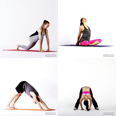 flexibility