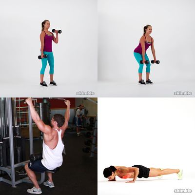 upper body