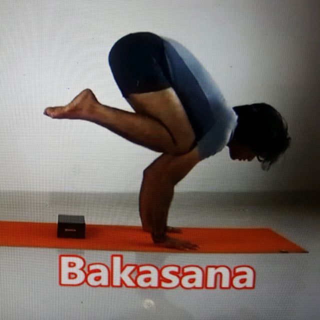 Hold Crow by 𝔻𝕖𝕤𝕖𝕣𝕥 𝔽𝕠𝕩🦊 🌟 Exercise Howto Skimble