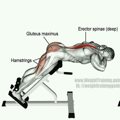 Beginner