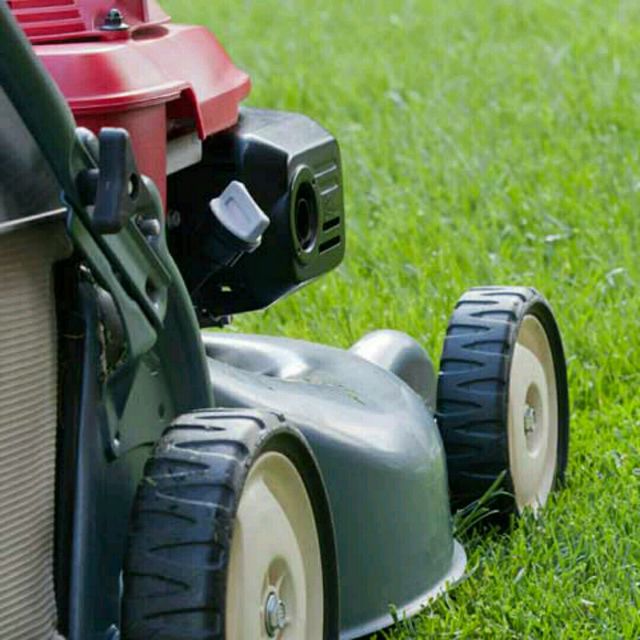 Lawn Mowing by Sonia R. Exercise Howto Skimble