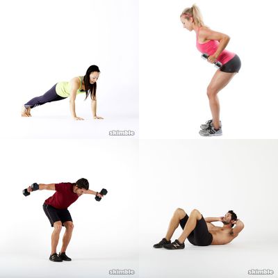 arms/shoulder/back
