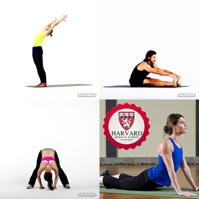 Foam Roller