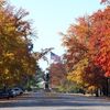 Tower Grove, Missouri, United States