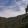 San Pedro Valley County Park, California, United States