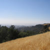 Long Ridge Open Space Preserve, California, United States