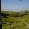 Wildcat Canyon Regional Park, California, United States