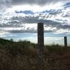 Point Pinole Regional Shoreline, California, United States